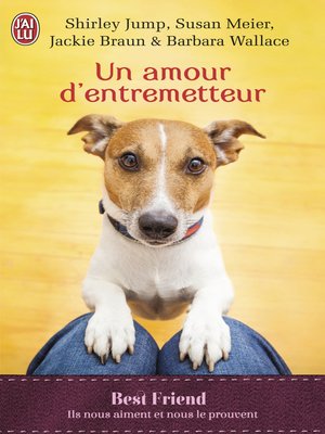 cover image of Un amour d'entremetteur